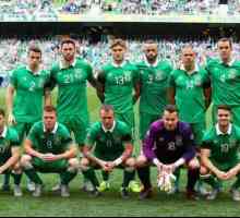 Fotbalul Irlanda - succesul echipei și al deținătorilor de înregistrare