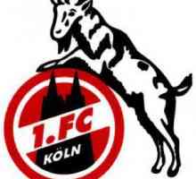 Clubul de fotbal `Köln`: istorie