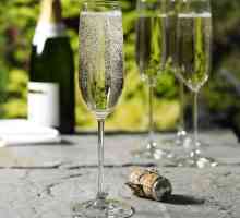 Fougères este un pahar de șampanie: cum să alegi una potrivită?