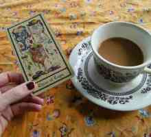 Divination `One card` (Tarot): caracteristici, descriere și recenzii