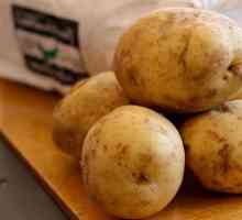 Găluște de cartofi: rețetă