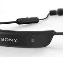 Casca Sony SBH80: recenzii, descriere, specificații și recenzii