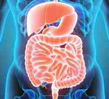 Gastroenterită: tratament, simptome și diagnostic. Consecințele gastroenteritei
