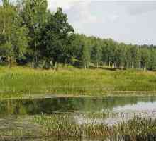 Unde să înoți în vară? Râuri și lacuri lângă Moscova