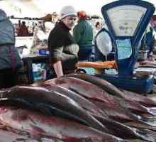 Unde este cea mai bună piață de pește din Rusia?
