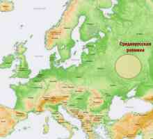 Unde este Câmpia Rusă Centrală?