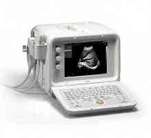Unde se face ultrasunetele? Selecția clinică