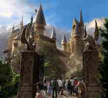Unde a studiat Harry Potter? Hogwarts școli