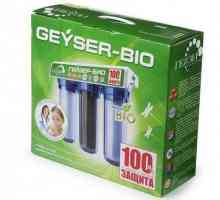 Geyser: filtru, cartușe. Prezentare generală, înlocuire și feedback. `Geyser 3`…