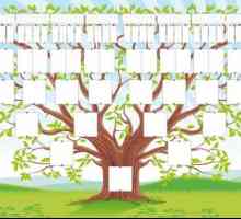Arbore genealogic prin mâinile proprii: selecție de informații, construcție corectă, idei de design