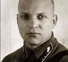 Generalul Lizyukov. Biografia eroului