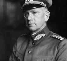 Generalul Walter von Reichenau: biografie, realizări și istorie