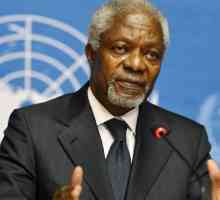 Secretarul General al ONU Annan Kofi: biografie, activități, premii și viața personală