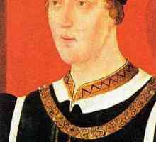 Henry VI: biografie, realizări și fapte interesante