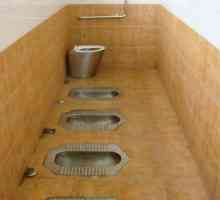 `Genoa` - un bol reprezentând o toaletă pentru podea