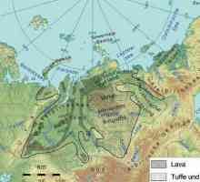 Poziția geografică a Câmpiei Siberiei de Vest: descriere și caracteristici