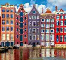 Stema și steagul din Amsterdam: descriere și semnificație