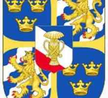 Steaua Suediei - istorie și elemente de bază
