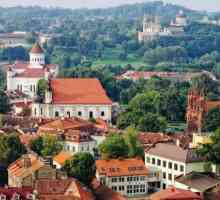 Stema Vilniusului: istorie, descriere și semnificație