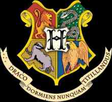 Hogwarts stema pe facultăți (foto)