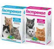 `Gestrenol` (picături pentru pisici): manual de instrucțiuni, recenzii