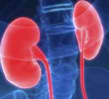 Hydronephrosis a rinichiului: cauze, simptome, tratament, prognostic