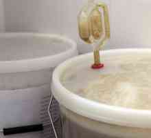 Blocaj hidraulic pentru fermentare: scop și caracteristici
