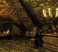 Guild of Skyrim: descriere, pasaj și coduri
