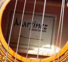 Guitar acustic Martinez FAW-702: descriere, specificatii si recenzii