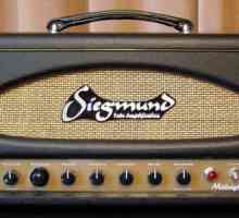 Amplificator de chitară: aspect și caracteristici ale dispozitivului