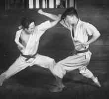 Gitin Funakoshi: biografie și cărți ale unui maestru de karate