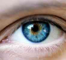 Ochiul, ca un sistem optic, este un dispozitiv foarte complex.
