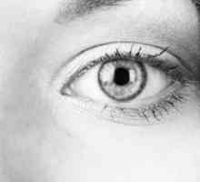 Eye drops `Taurin`: recenzii ale pacienților și medicilor