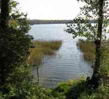 Lac adânc (raionul Ruzsky, regiunea Moscova): descriere, pescuit și odihnă