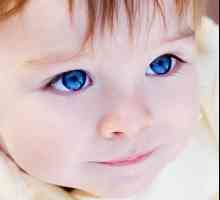 Ochii copilului se agită: ce să faceți dacă nu aveți ocazia să vizitați un oftalmolog