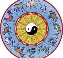 Anul Taurului: caracteristic. Semnul anului Bull în calendarul est-chinez
