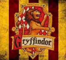 Godric Gryffindor: Povestea unui personaj