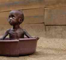 Foamea în Africa