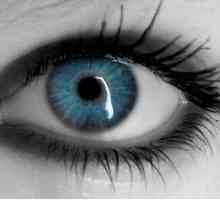 Ochii albastri și culoarea parului