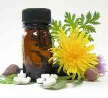 Preparate homeopatice - ce este? Cum să luați remedii homeopate?