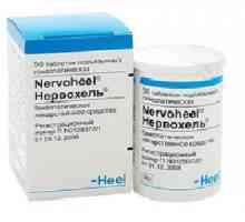 Pregătirea homeopatică "Nervohel" - răspunsurile experților și pacienților