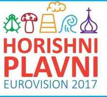 Gorishnie Plavni - un loc nou pe harta Ucrainei