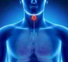 Hormon tiroidian tiroidian: normal și anormal