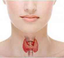Hormoni ai glandei paratiroide: funcții, efecte asupra corpului uman
