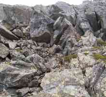 Rock: specii de roci. Rasele de rocă de origine. Tipuri de roci