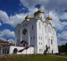 Orașul Bryansk: Catedrala Trinity