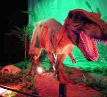 `Orașul dinozaurilor `(VDNH): recenzii, orar de deschidere, direcții, fotografie