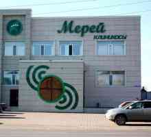 Orașul Karaganda, clinica "Merey": o examinare de înaltă precizie a corpului