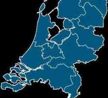 Orașe din Olanda: descriere