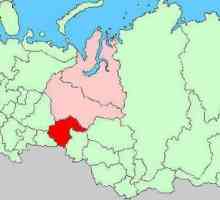 Orașele din regiunea Tyumen: bogăția țării